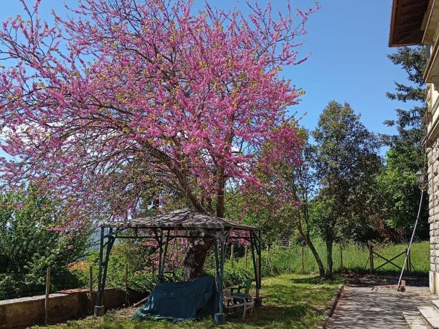 Case e ville in vendita di 700 m² in Via Roma