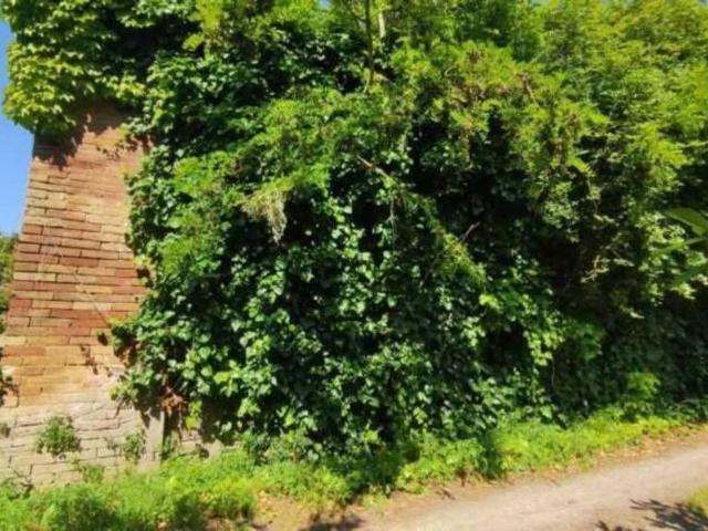 Case e ville in vendita di 70 m² in Via dei Pini