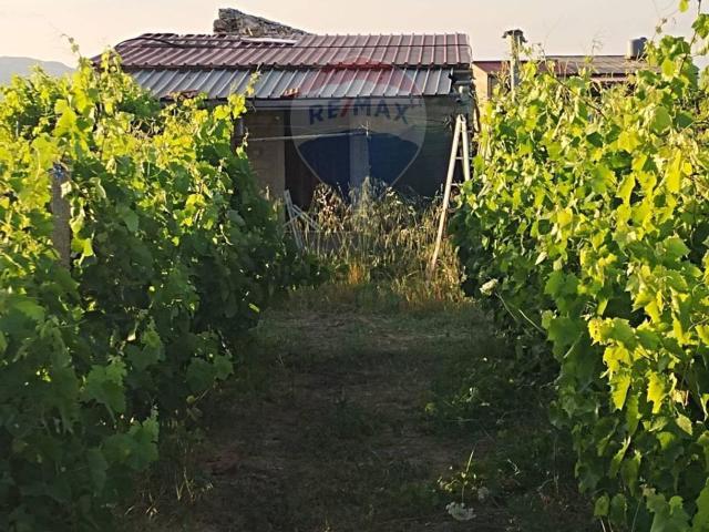 Case e ville in vendita di 70 m²