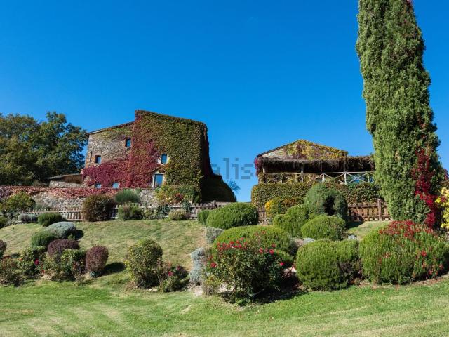 Case e ville in vendita di 900 m² in Località Podere Casanova