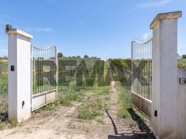 Case e ville in vendita di 90 m² in Contrada Bosco di Mezzo