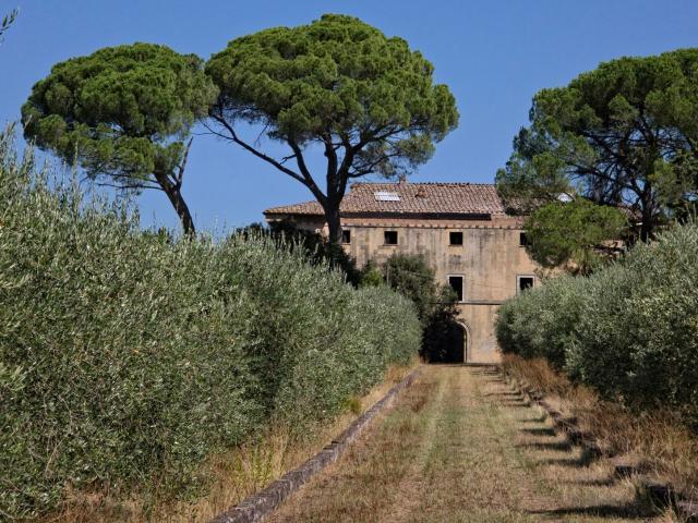 Case e ville in vendita di 1000 m² in Strada Provinciale 111/b di Monteaperti