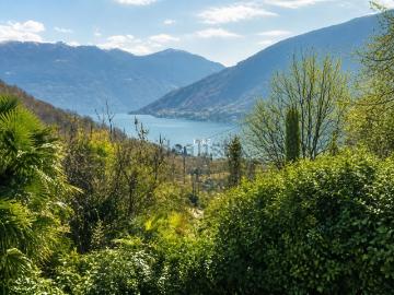Case e ville in vendita di 110 m² in Strada Sasso Rosso Dasio