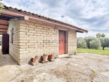 Cesano Roma, Viterbo Lazio