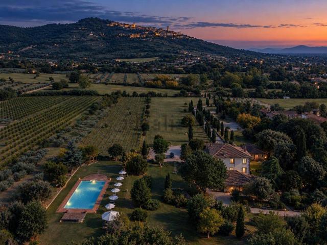Case e ville in vendita di 1232 m² in Località San Pietro a Cegliolo