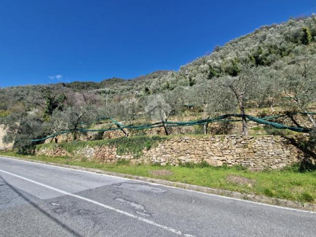 Case e ville in vendita di 136 m²