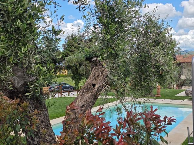 Case e ville in vendita di 136 m² in Via Bolgherese