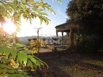 Mutigliano, Lucca Toscana, Toscana - Giardino