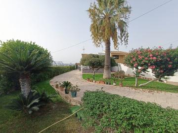 Scoglitti, Isola di Sicilia, Sicilia - Giardino