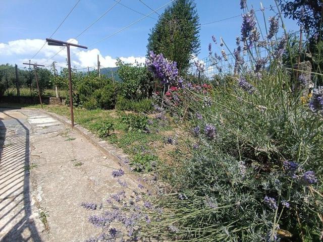 Case e ville in vendita di 145 m²