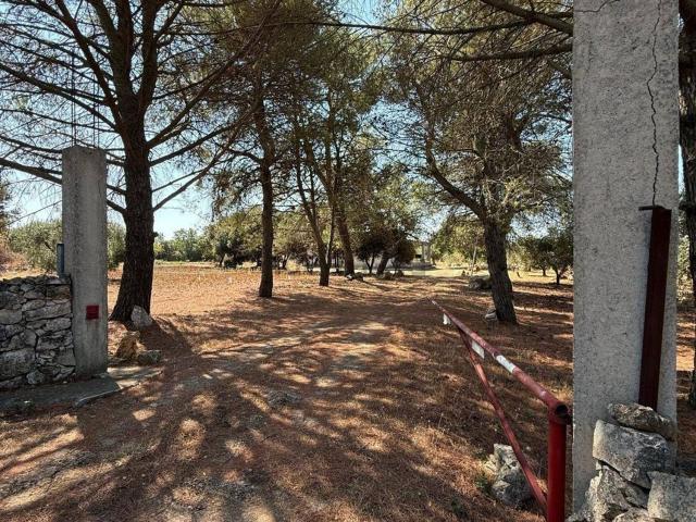 Case e ville in vendita di 155 m²
