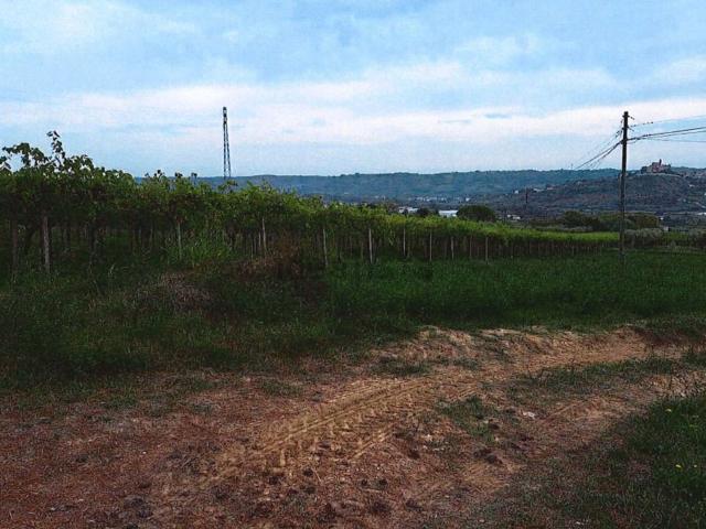 Case e ville in vendita di 168 m² in Contrada Bardella