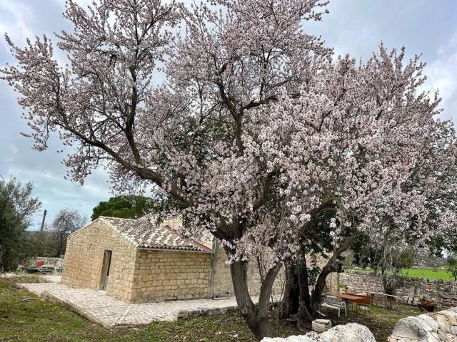 Case e ville in vendita di 170 m² in Contrada Cozzo Rao