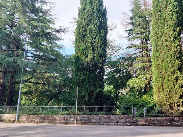 Case e ville in vendita di 180 m² in Via dei Pini
