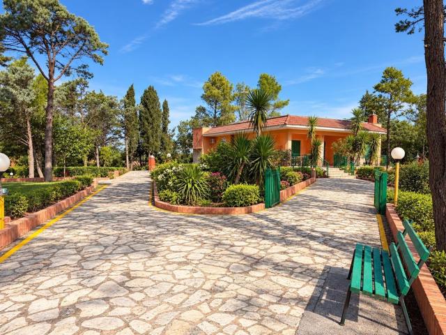 Case e ville in vendita di 185 m² in Strada Provinciale Gioia del Colle Noci