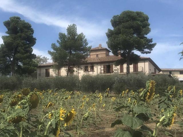 Case e ville in vendita di 195 m²