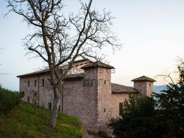 Case e ville in vendita di 2000 m² in Località Mocaiana
