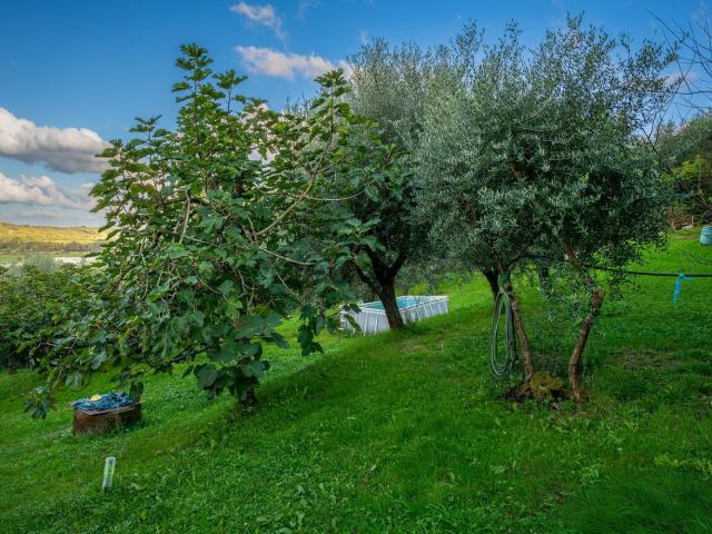 Case e ville in vendita di 205 m² in Via delle Corti