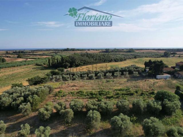 Case e ville in vendita di 218 m² in Strada Quarto del Brizzi