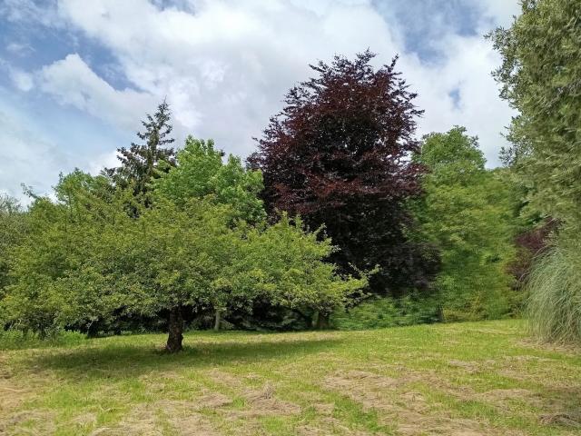 Case e ville in vendita di 220 m²