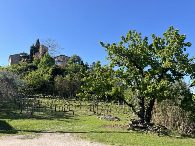 Case e ville in vendita di 220 m² in Via Provinciale Sorrivoli