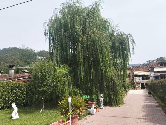Case e ville in vendita di 220 m² in Via Regurone Nord, 7