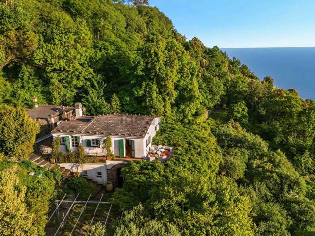 Case e ville in vendita di 224 m² in Località Mesco