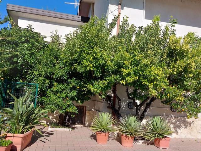 Case e ville in vendita di 230 m² in Contrada Cappellini, 35