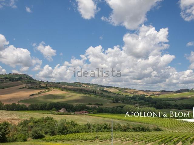 Case e ville in vendita di 2330 m² in Strada Provinciale 4 Volterrana, 13