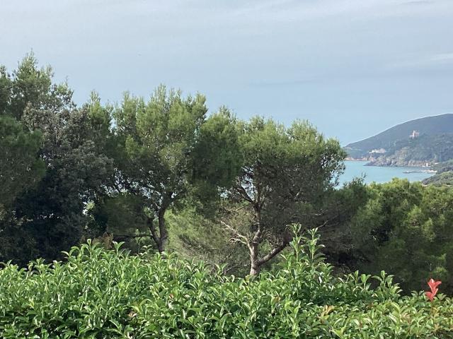 Case e ville in vendita di 250 m² in Via delle Rose