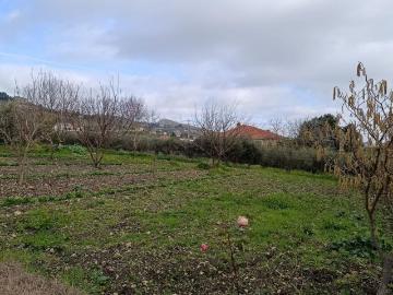 Casa in vendita a Mussomeli