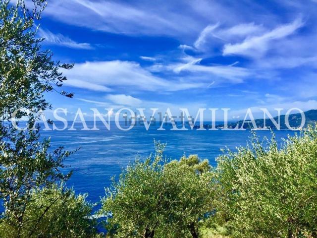 Case e ville in vendita di 250 m² in Via Sant&apos Andrea di Rovereto