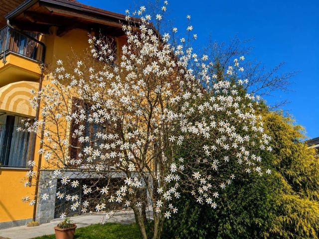Case e ville in vendita di 263 m² in Via Guglielmo Marconi, 27