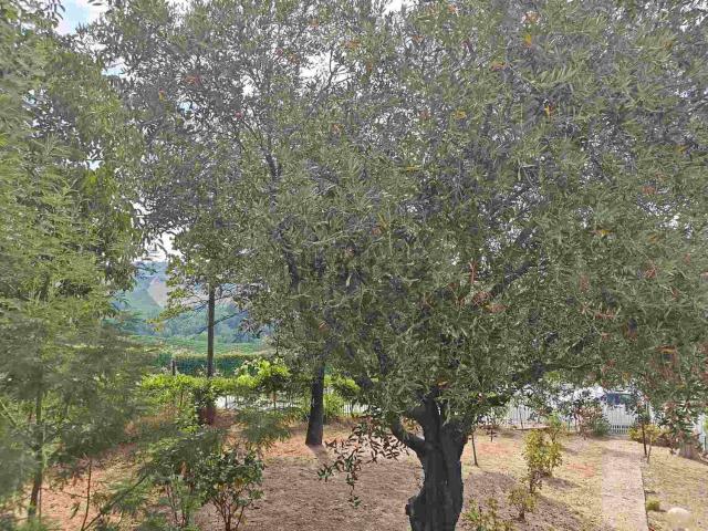 Case e ville in vendita di 270 m² in Località Manzoni, 35