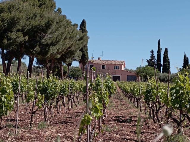 Case e ville in vendita di 290 m²