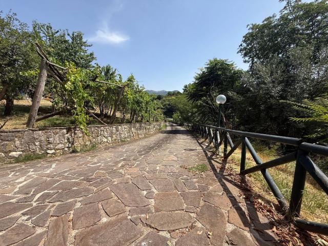 Case e ville in vendita di 297 m² in Via delle Pecore