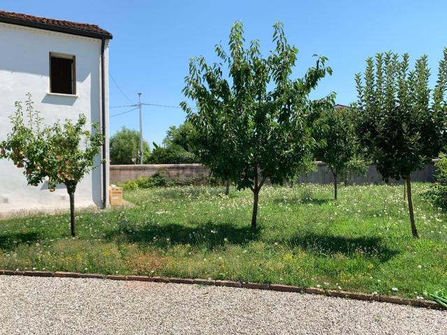 Case e ville in vendita di 300 m²