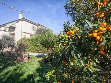 Case e ville in vendita di 300 m²