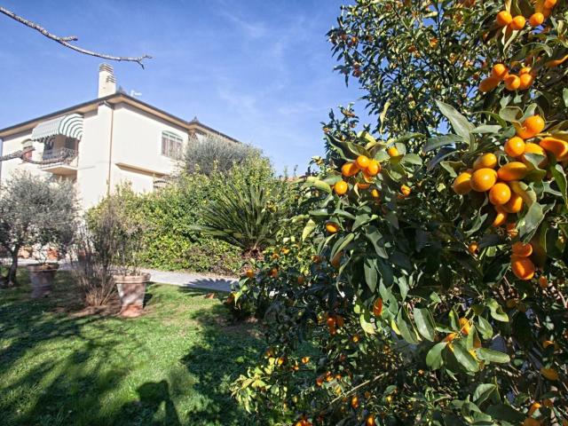 Case e ville in vendita di 300 m²