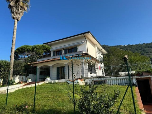Case e ville in vendita di 300 m²