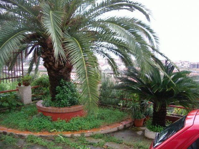 Case e ville in vendita di 300 m² in Traversa I Via Longobardi, 1