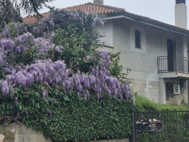 Case e ville in vendita di 300 m² in Via Cagliari