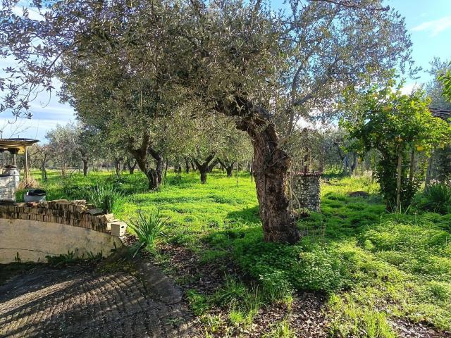 Case e ville in vendita di 300 m² in Contrada Sacchetti, 3