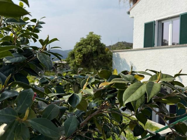 Case e ville in vendita di 303 m² in Via dei Navigatori