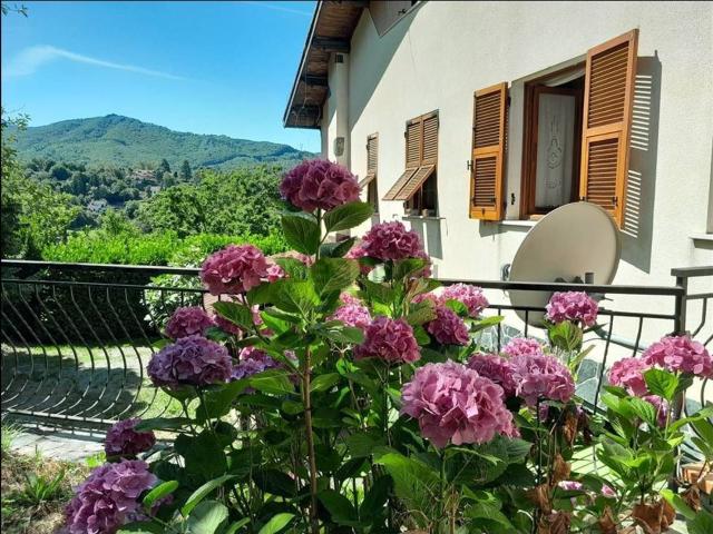 Case e ville in vendita di 310 m² in Località Brigiola, 31