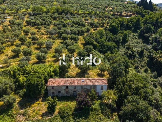 Case e ville in vendita di 320 m²