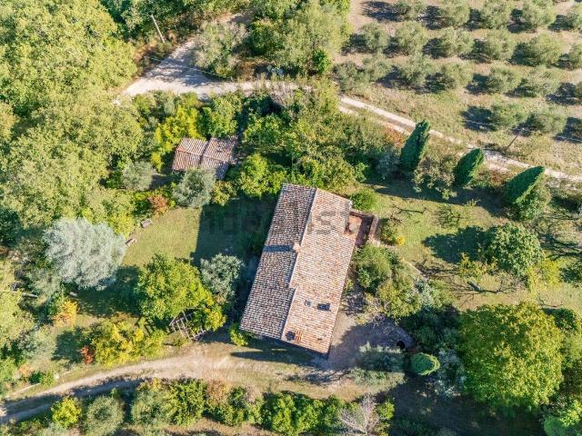 Case e ville in vendita di 351 m² in Strada Senza Nome, 4