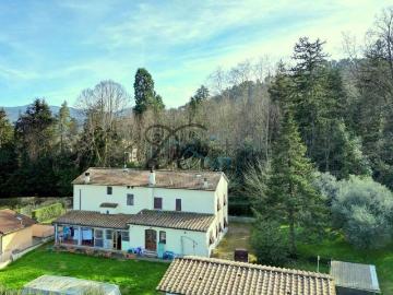 Meati, Lucca Toscana, Toscana - Cantina