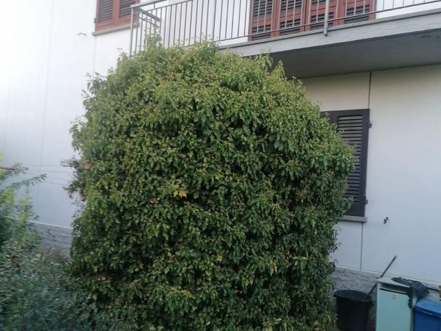 Case e ville in vendita di 360 m²