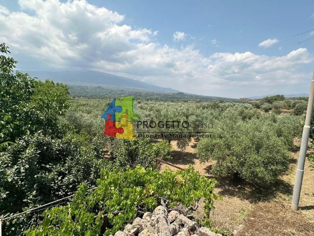 Case e ville in vendita di 3660 m² in Contrada Carranco